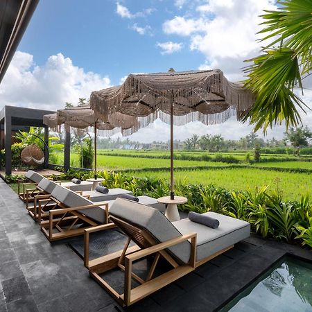 Villa Black Pearl By Balisuperhost Ubud Exteriér fotografie