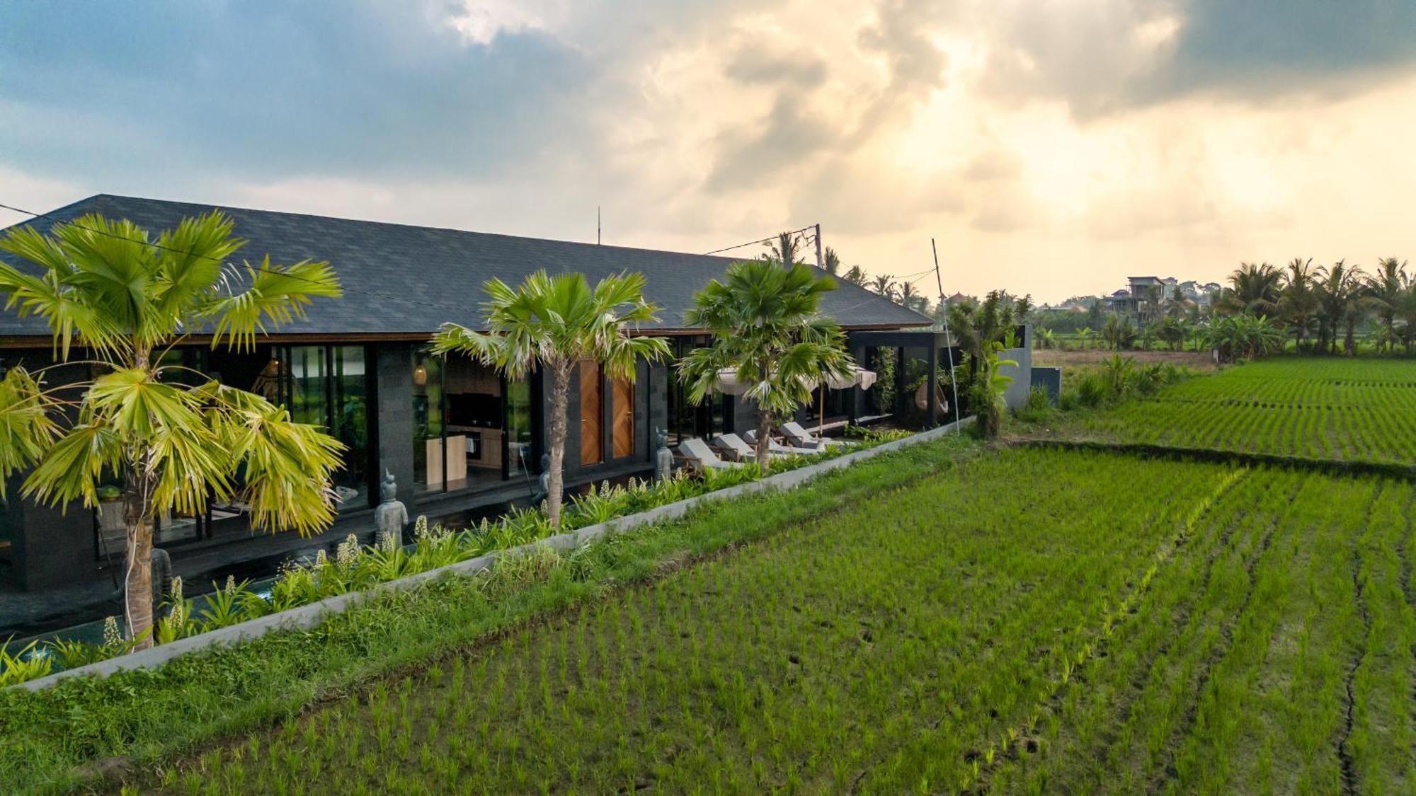 Villa Black Pearl By Balisuperhost Ubud Exteriér fotografie